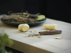 Fiskars Norr Peeling Knife -Kitchen Utensils Sale Fiskars Kitchen Environmental Norr Peeling knife ginger 1016475 28129